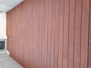 20191104_162436 (Medium)